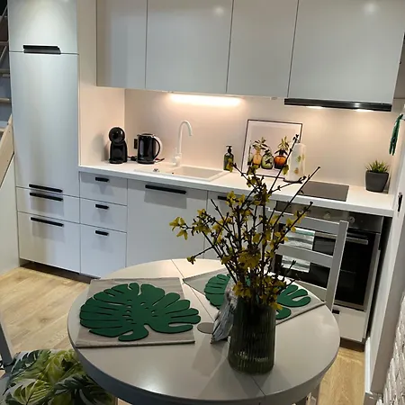 Piotrkowska 37 - Leaf Apartman *