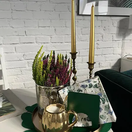 Piotrkowska 37 -mini Loft- Leaf